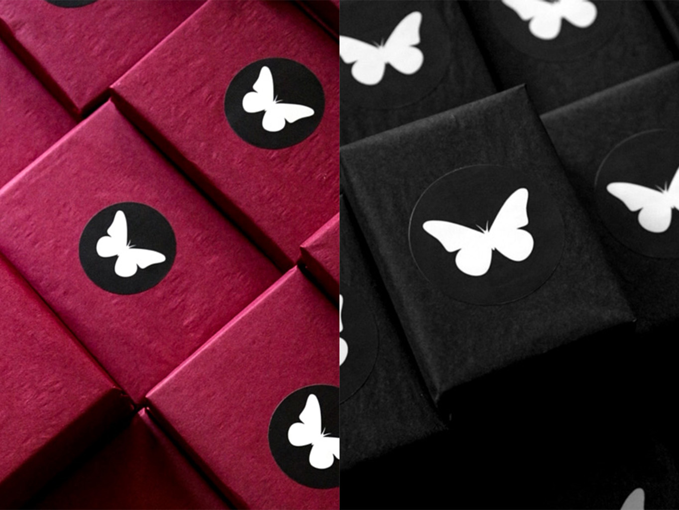 Mystery Decks and Golden Ticket Hunt! Butterfly Magic Store